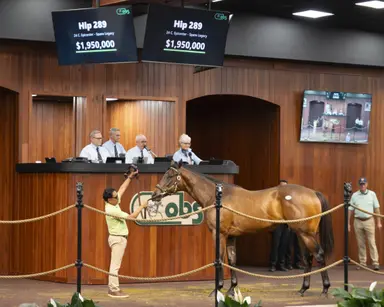Colt by first-crop sire Epicenter sells for $1.95M to lead opening OBS April session