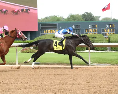 Pink Ruby in good spot for Schultz