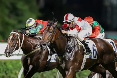 Zac Purton fires in a four-timer as Derek Leung edges closer in Tony Cruz Award battle