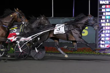 Meadowlands: Breeders Crown winner French Wine makes 2026 debut in Cutler