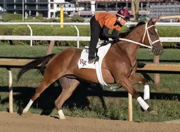 Reid pondering spot for Maximus Meridius after troubled trip
