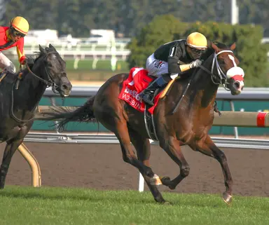 Two Out Hero may hit harder at shorter distance of Woodstock