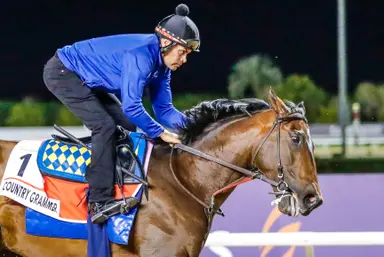 Hard-punching Country Grammer defends title in Dubai World Cup