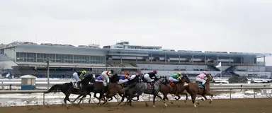 DRF's Horse Racing Playbook for Saturday, March 7