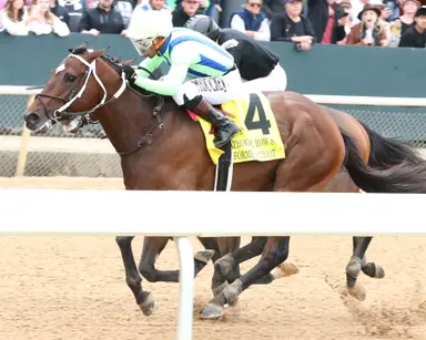 Informed Patriot punches Preakness Stakes ticket with Bath House Row victory