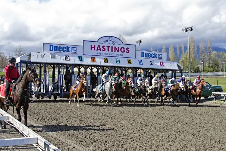 Hastings Racecourse