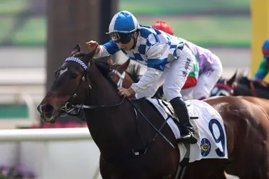 Newnham hopeful Bravehearts can reclaim top form at Sha Tin