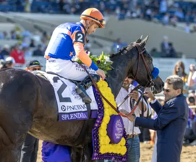 Splendora stands out in D. Wayne Lukas Stakes