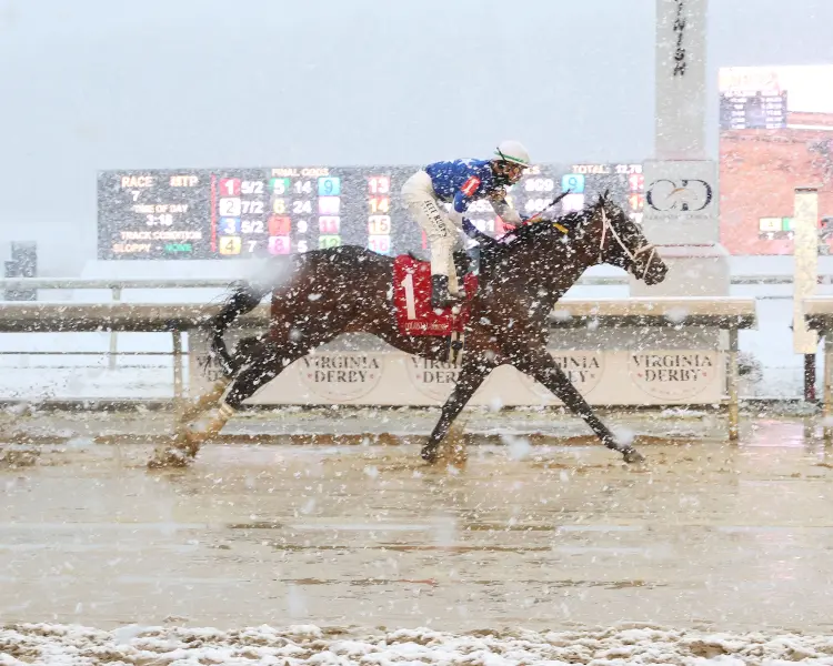 DIGITAL OPS - The Golden Horseshoe Handicap - 03-12-26 - R07 - Colonial Downs - Finish 01.jpg