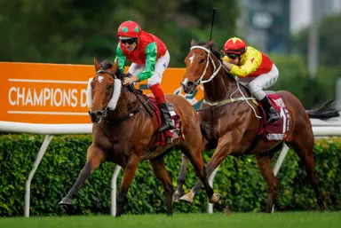 Hall wary ahead of Group 1 winner Invincible Sage’s return