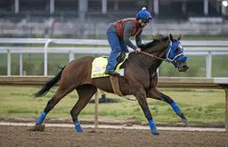 Kentucky Derby 2026: Commandment, So Happy co-favorites in mid-day betting