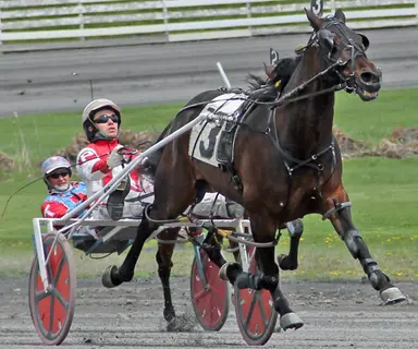 Harness: Brandon Parker battling through the abyss to regain his life