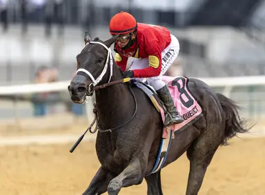 Grammy Girl stars in Vagrancy seeking third straight win