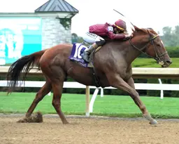Breeders' Cup Sprint: Nakatomi's record at Keeneland makes him a player