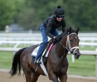 Fierceness will skip Belmont Stakes, point to Haskell