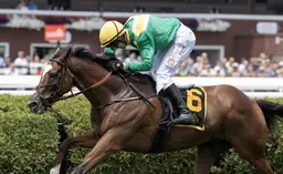 Look out for longer-price Brion horse in A.P. Smithwick