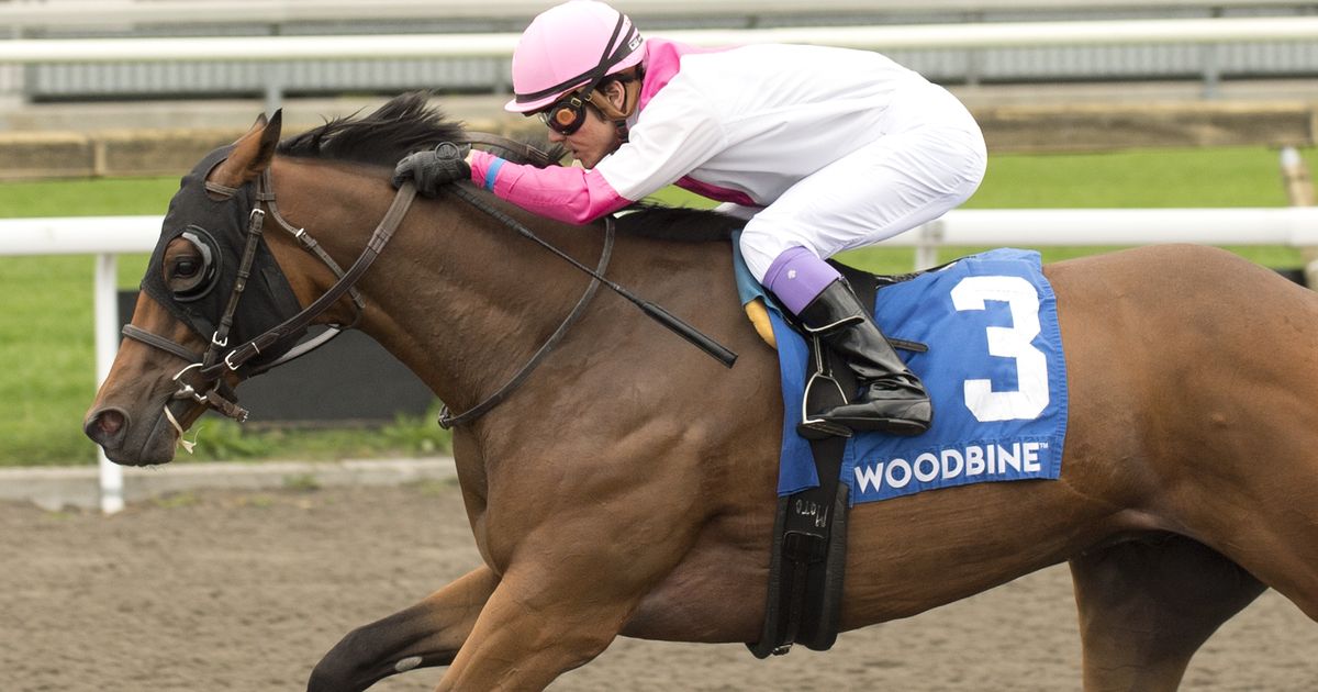 King’s Counsel gets first win in rich Simcoe Stakes