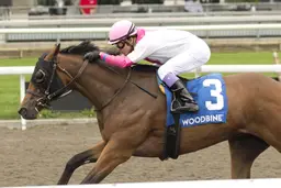King’s Counsel gets first win in rich Simcoe Stakes