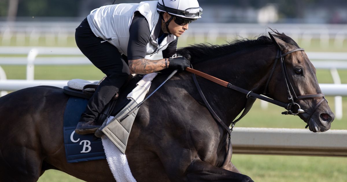 Spirit of St Louis returns to Belmont looking for another Mohawk win