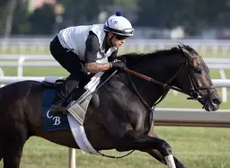 Spirit of St Louis returns to Belmont looking for another Mohawk win