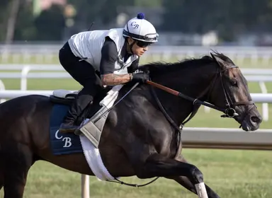 Spirit of St Louis returns to Belmont looking for another Mohawk win