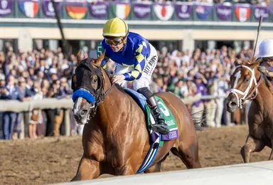 Breeders' Cup Juvenile: Hughes answers the challenge; Baffert wins seventh edition