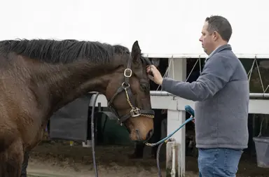 Balnikhov could get enough pace to spring upset in Opening Verse