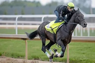 Japan: Lemon Pop looks for dirt Grade 1 sweep in Champions Cup
