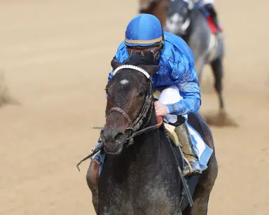 Breakout Beyers: Knightsbridge scales heights in impressive maiden victory