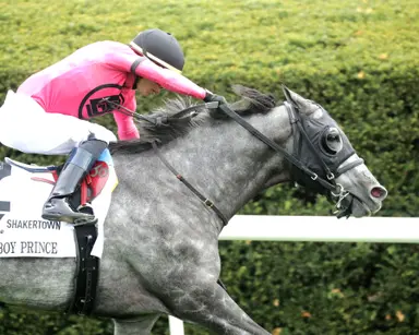 My Boy Prince finds first graded stakes win in Shakertown