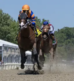 Obliteration gets back on turf for Franklin-Simpson