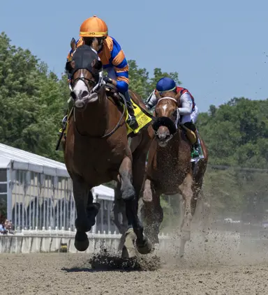 Obliteration poised to give Asmussen seventh Amsterdam win