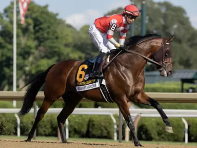 Minaret Station brings consistency to Joe Hirsch Turf Classic
