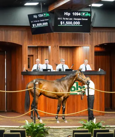 Tiz the Law leads the way with $1.5 million colt at record OBS April sale