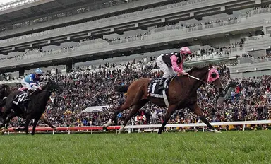 Luke Middlebrook's Hong Kong Selections and Analysis for Sunday, June 7, 2026
