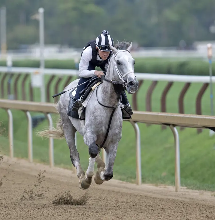 Tapit Trice02.8-25-24.BL_.jpg