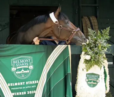 Golden Tempo, sidelined by infection, will miss Jim Dandy Stakes
