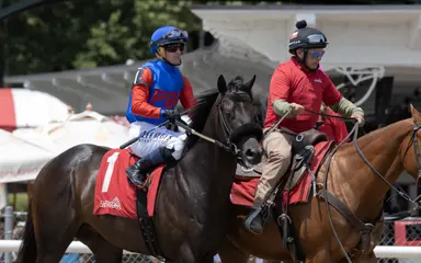 DRF's Horse Racing Playbook for Wednesday, Aug. 5, 2026