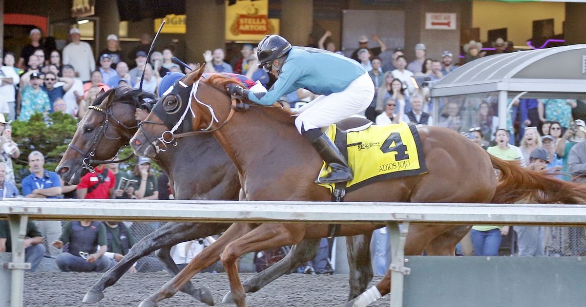 Adios Jojo ($67.82) wins Longacres Mile after Touchy disqualified to second
