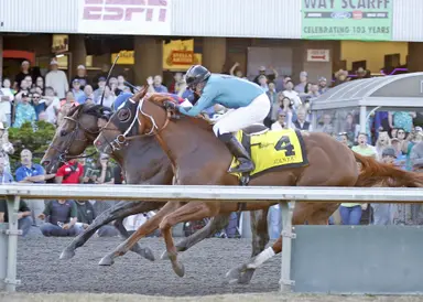 Adios Jojo ($67.82) wins Longacres Mile after Touchy disqualified to second