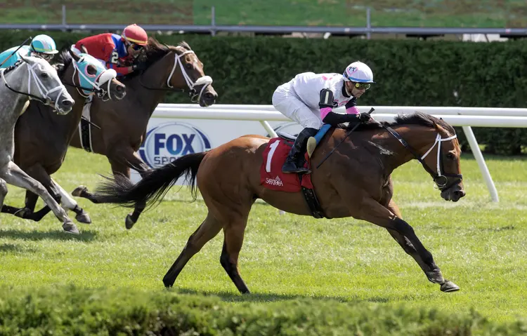 Lord Flintshire.8-25-24.BL