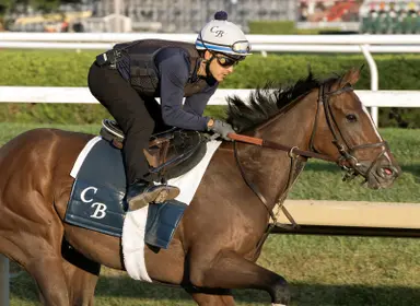 Always a Runner looks to rebound in Cotillion