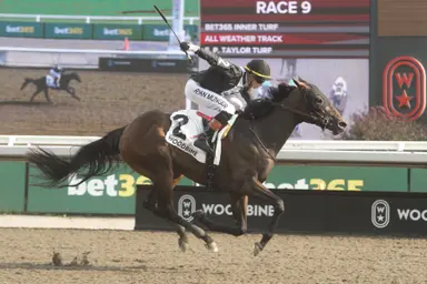 Katie's Grace picks up first stakes win in Bison City