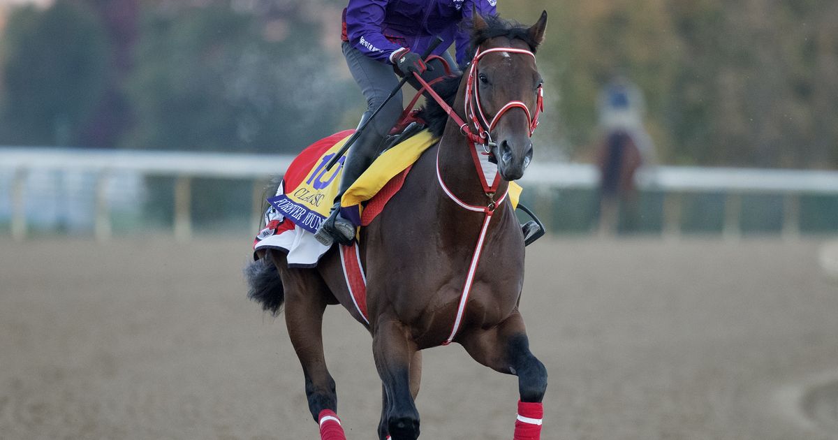 Breeders' Cup: Forever Young again draws post 5 in bid for Classic repeat