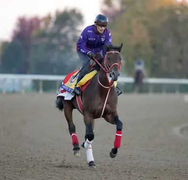 Breeders' Cup: Forever Young again draws post 5 in bid for Classic repeat
