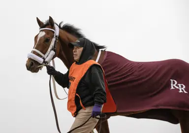 Reid poised to sweep four Pennsylvania-bred stakes at Parx