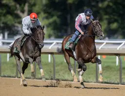 Sovereignty back on the tab for Jockey Club Gold Cup