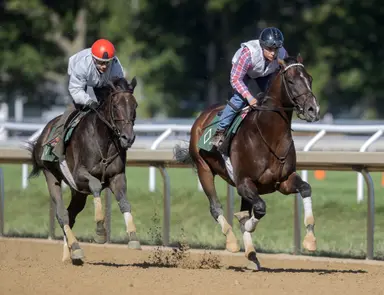 Sovereignty back on the tab for Jockey Club Gold Cup