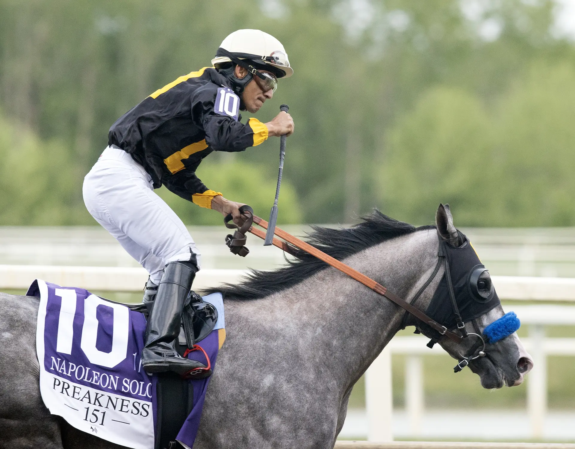 Napoleon Solo works with eye on Breeders' Cup Classic