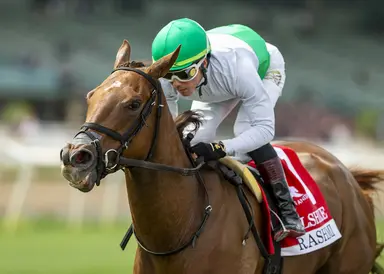 Brad Free's Santa Anita Horses to Watch for the week of March 27-29, 2026